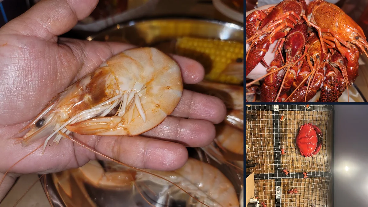 Fresh Seafood in Savannah