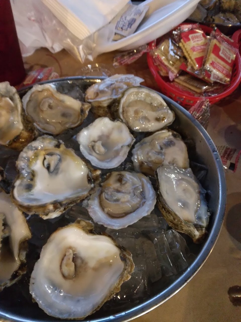 Oysters
