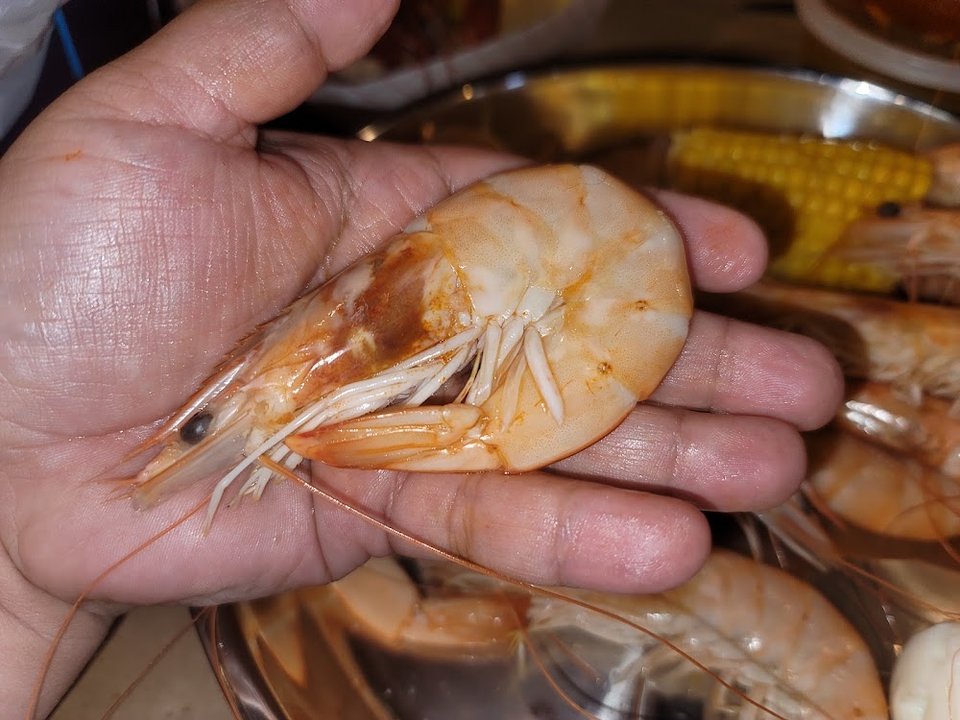Shrimp Head Off