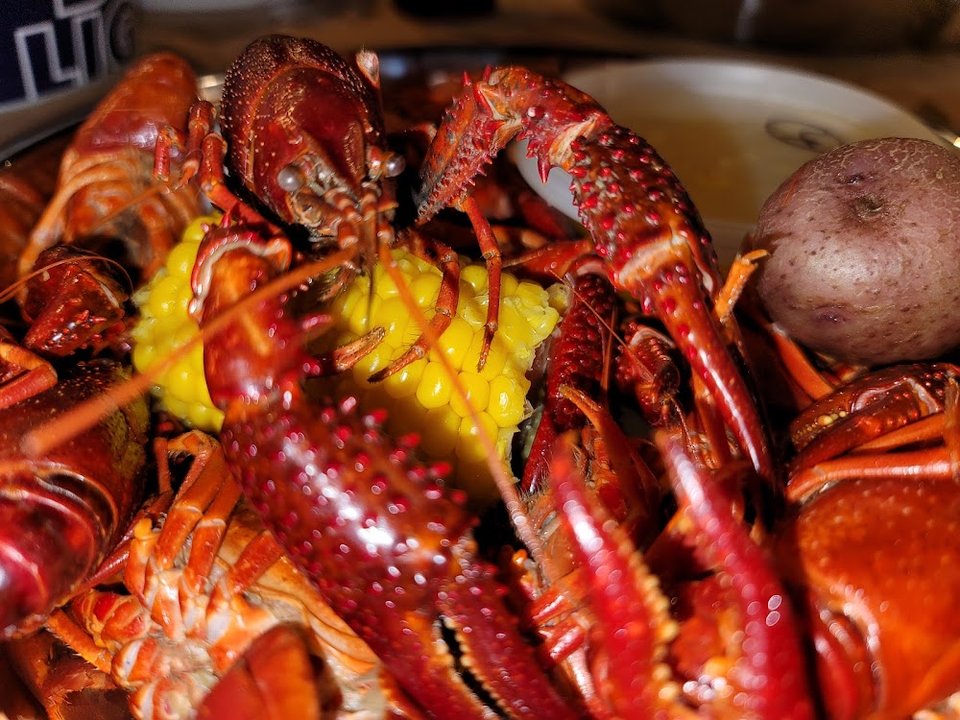 Crawfish